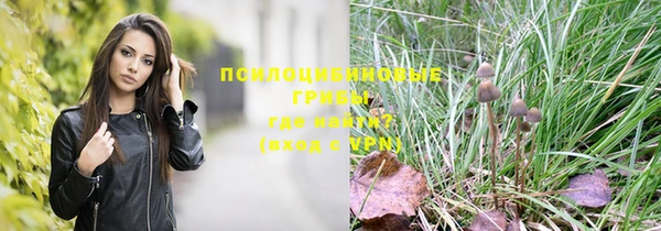 мяу мяу кристалл Иннополис