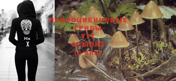 а пвп мука Инта